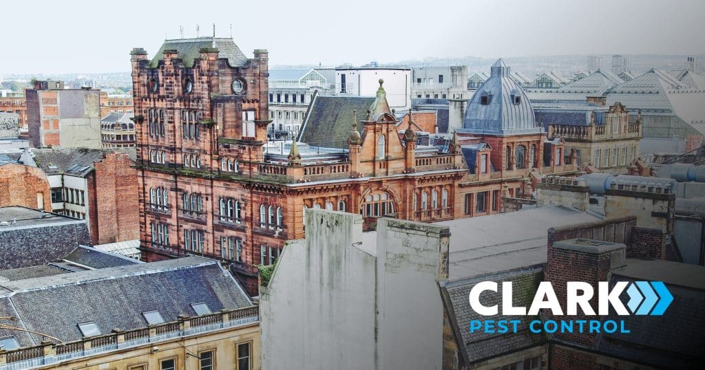Clark Pest Control Glasgow Office