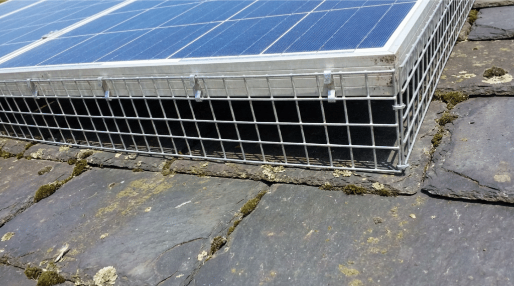 solar panel bird proofing - Clark Pest Control
